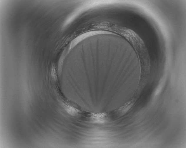 X0000051890143200507222025