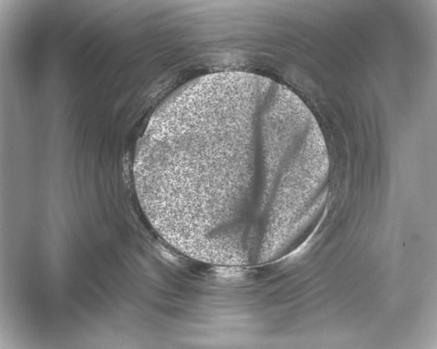 X0000051890144200507222025