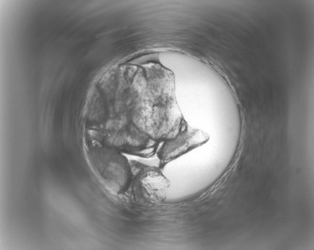 X0000051890145200507222025