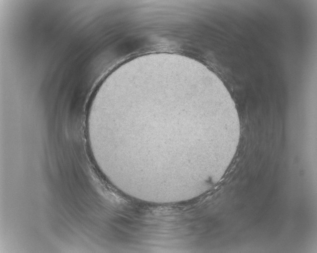 X0000051890146200507222025