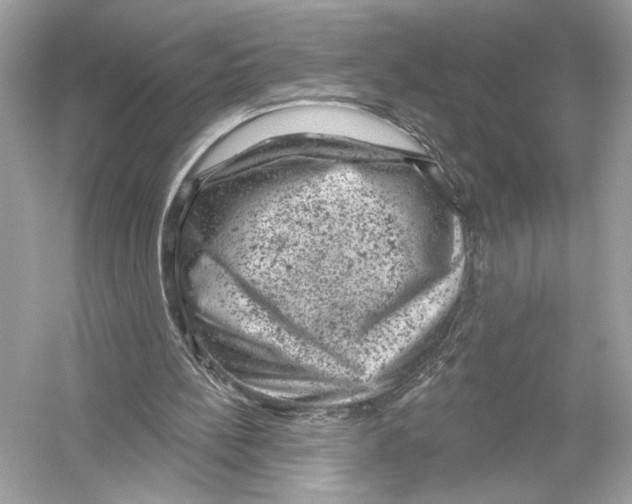 X0000051890148200507222025