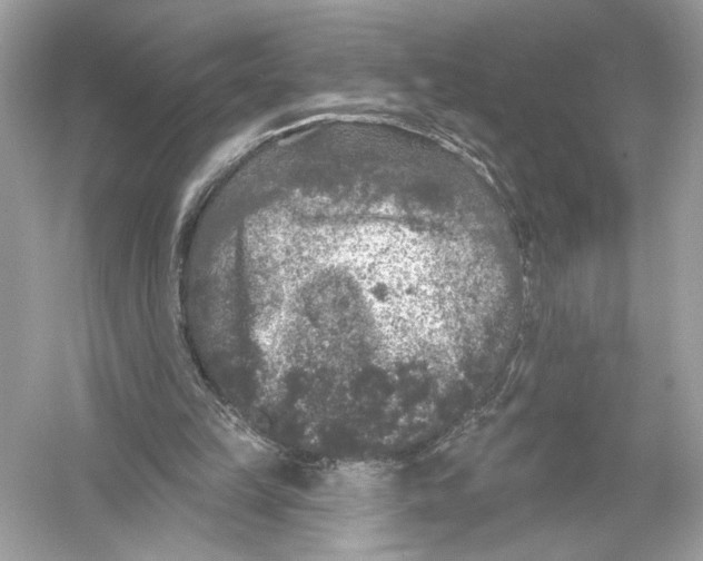 X0000051890149200507222025