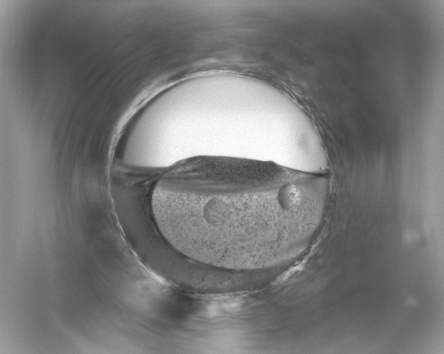 X0000051890150200507222025