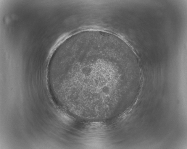 X0000051890151200507222025