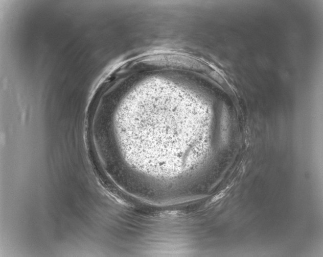 X0000051890152200507222025