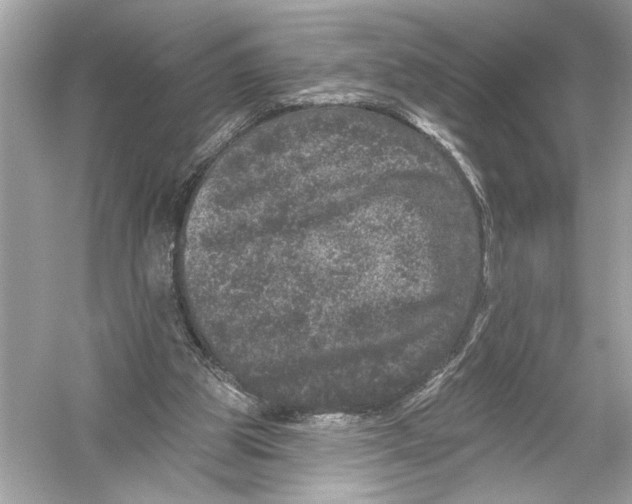 X0000051890153200507222025