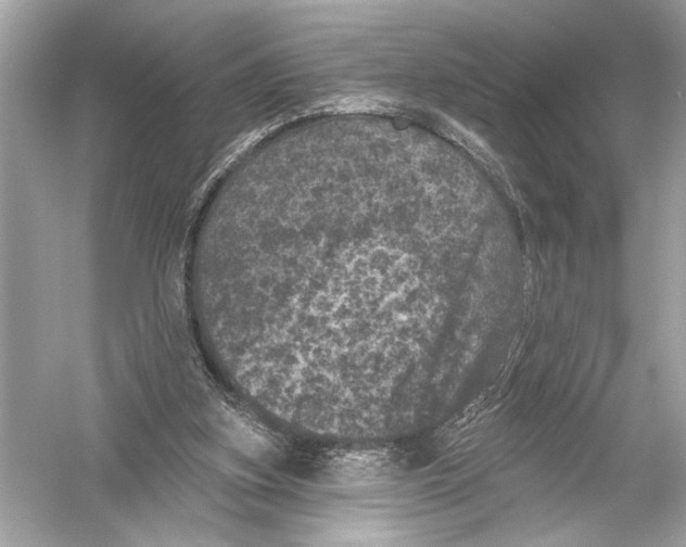 X0000051890155200507222025