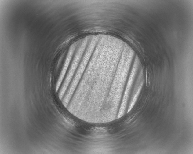 X0000051890157200507222025