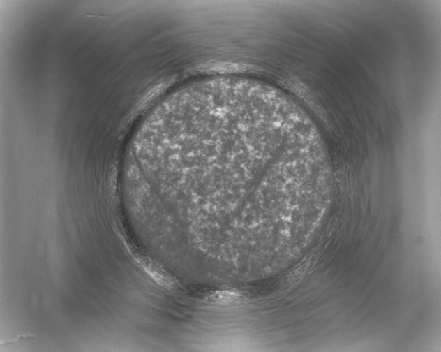 X0000051890159200507222025