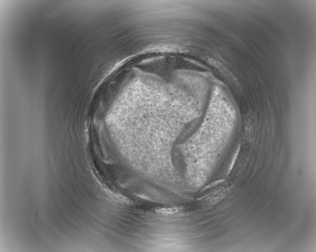 X0000051890160200507222025