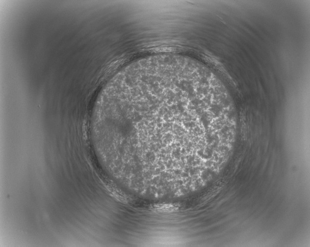 X0000051890161200507222025