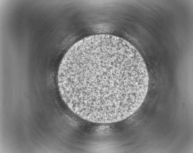 X0000051890162200507222025