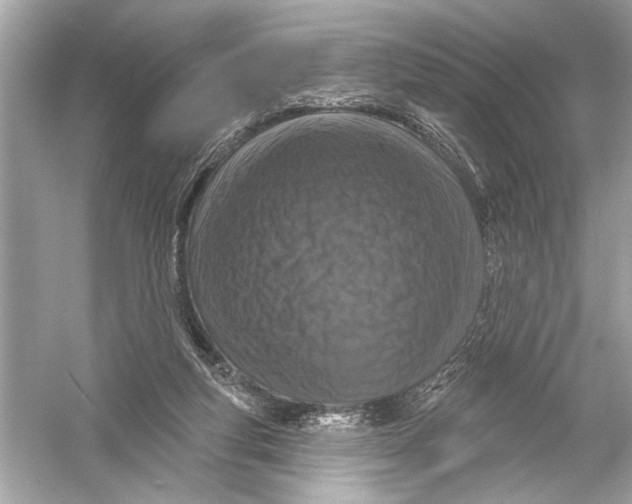 X0000051890163200507222025