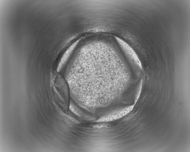 X0000051890164200507222025