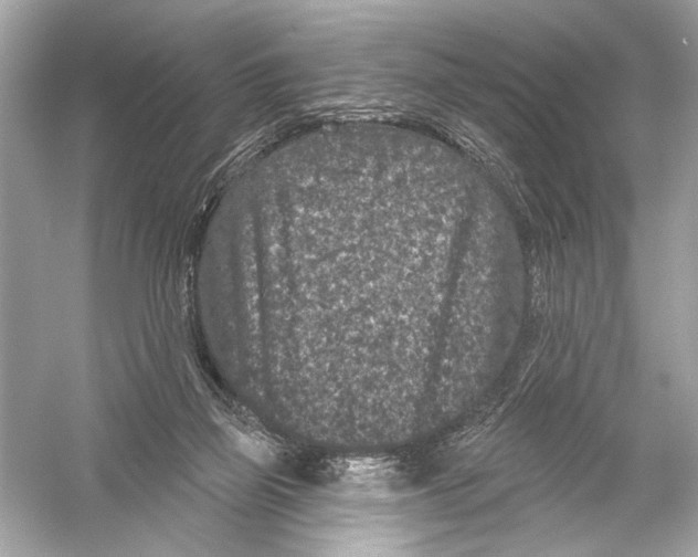 X0000051890165200507222025