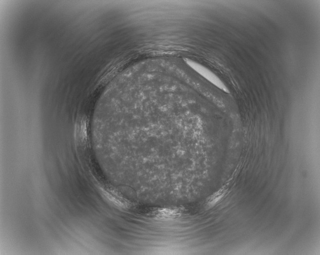 X0000051890166200507222025