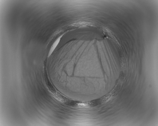 X0000051890167200507222025