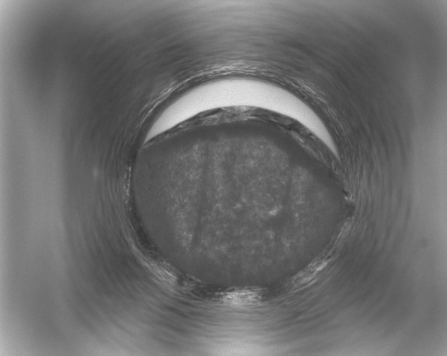 X0000051890168200507222025