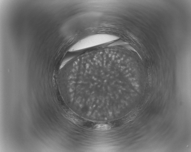 X0000051890169200507222025