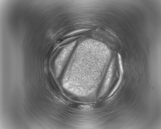 X0000051890170200507222025