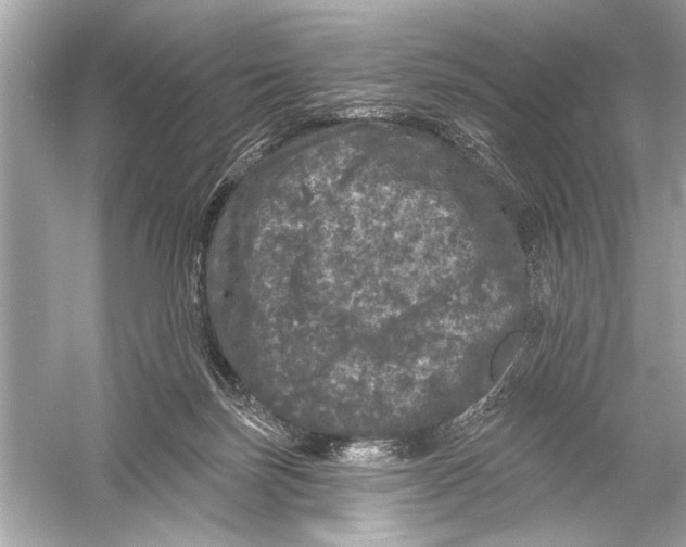 X0000051890171200507222025