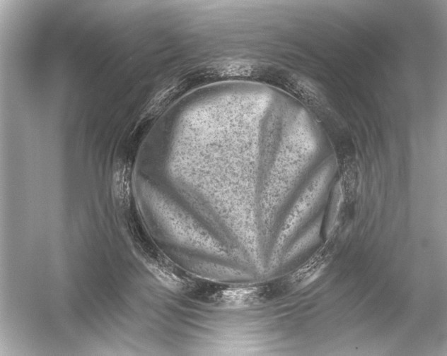 X0000051890172200507222025