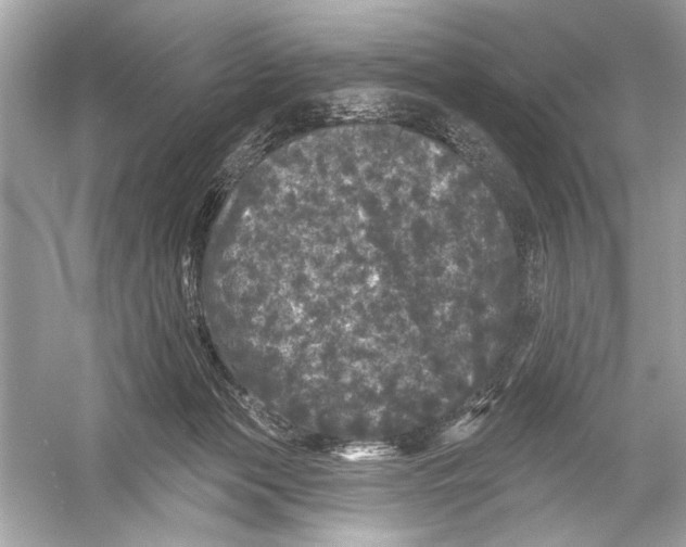 X0000051890173200507222025