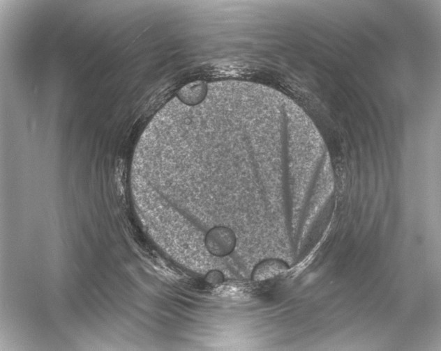 X0000051890174200507222025