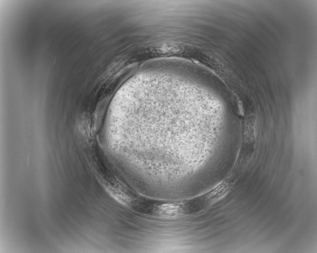 X0000051890176200507222025