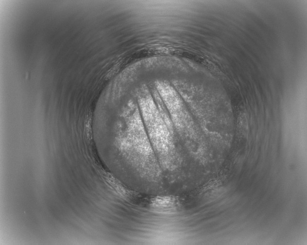 X0000051890177200507222025