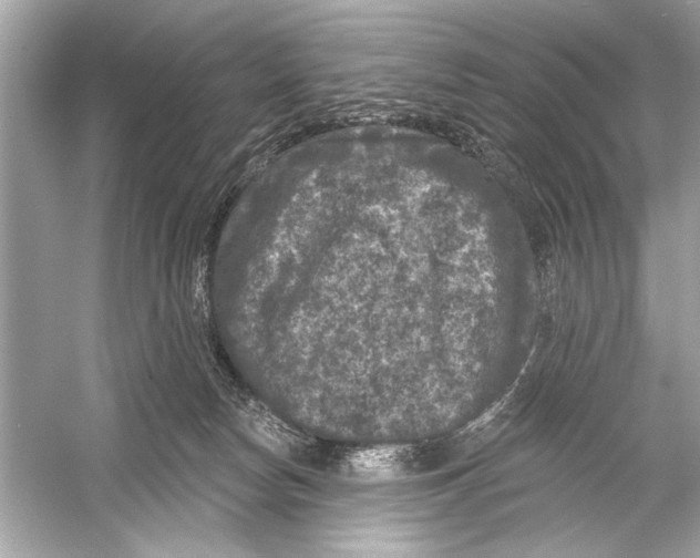 X0000051890178200507222025