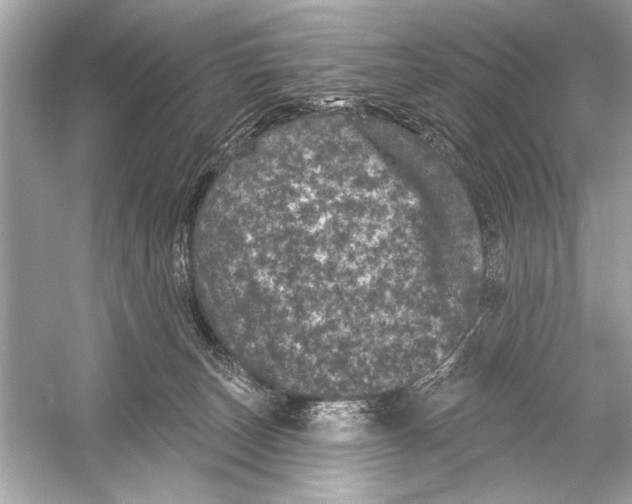 X0000051890179200507222025