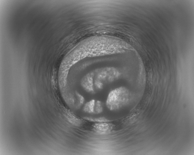 X0000051890181200507222025