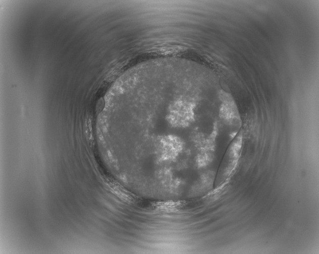 X0000051890182200507222025