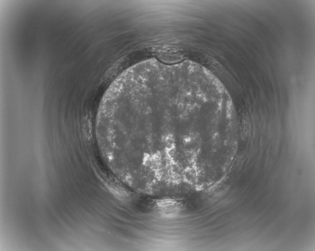 X0000051890183200507222025