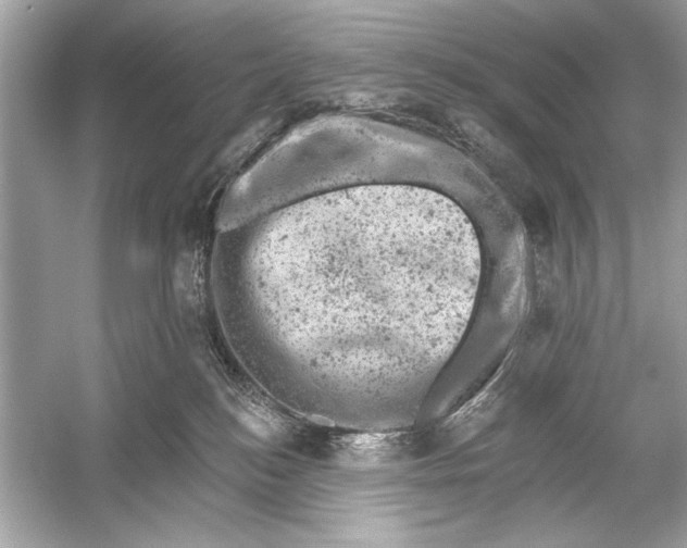 X0000051890184200507222025