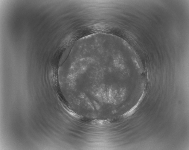 X0000051890186200507222025