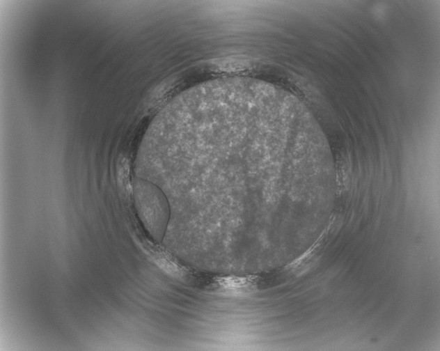 X0000051890187200507222025