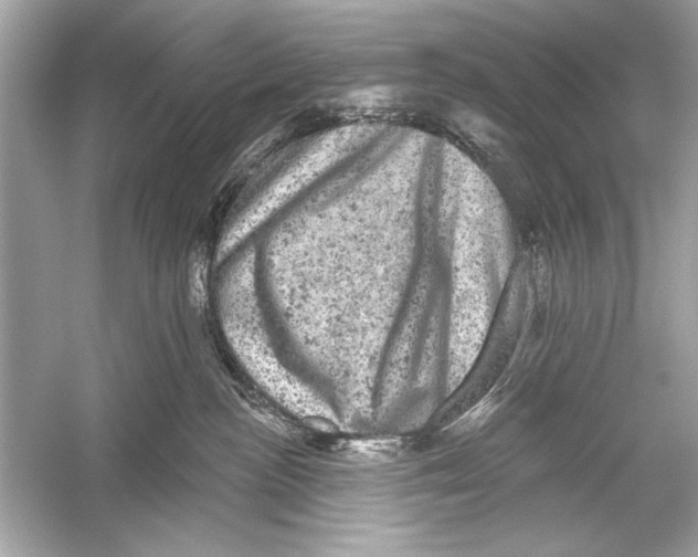 X0000051890188200507222025