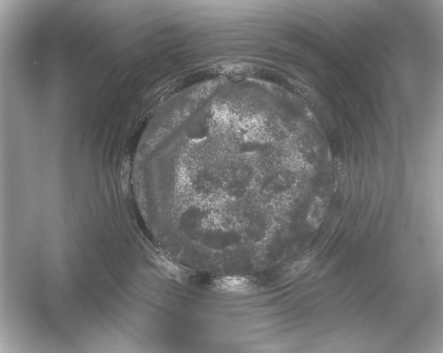 X0000051890189200507222025