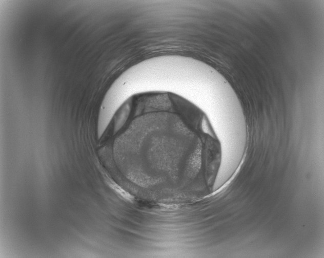 X0000051890190200507222025