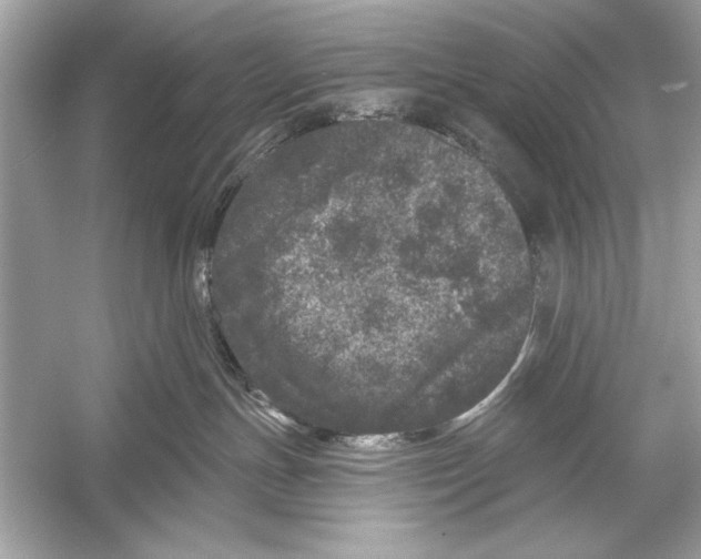 X0000051890191200507222025