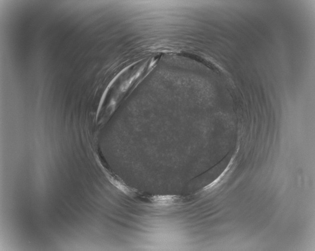 X0000051890192200507222025