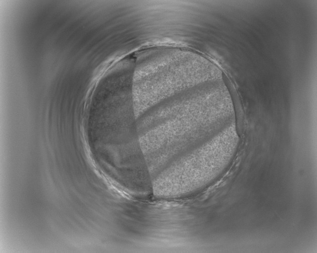 X0000051890193200507222025