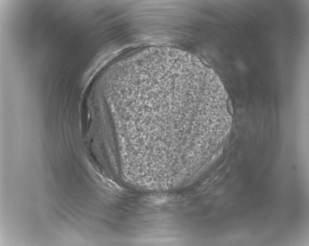 X0000051890194200507222025