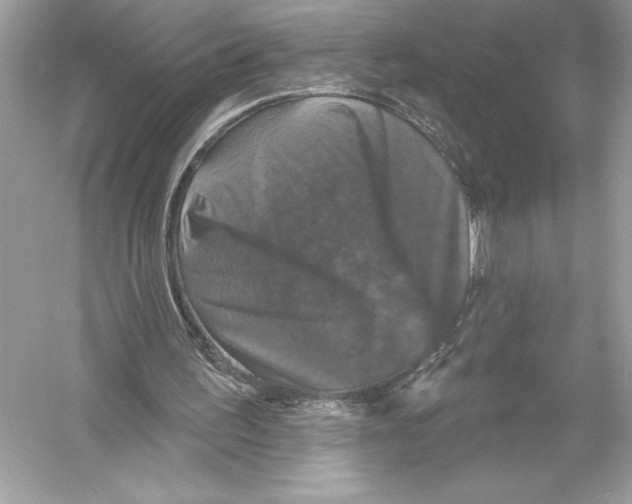 X0000051890195200507222025