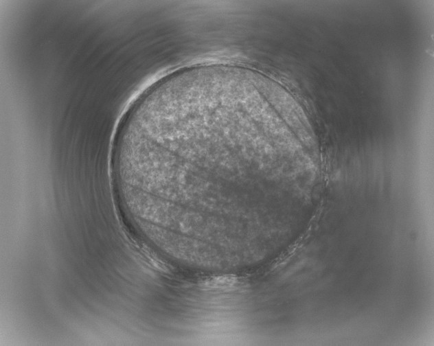 X0000051890196200507222025