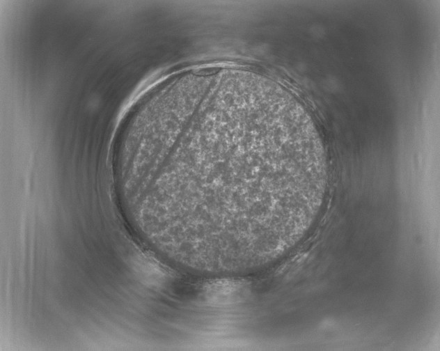 X0000051890198200507222025