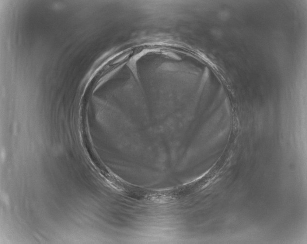 X0000051890199200507222025