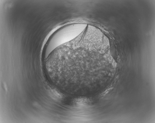 X0000051890200200507222024